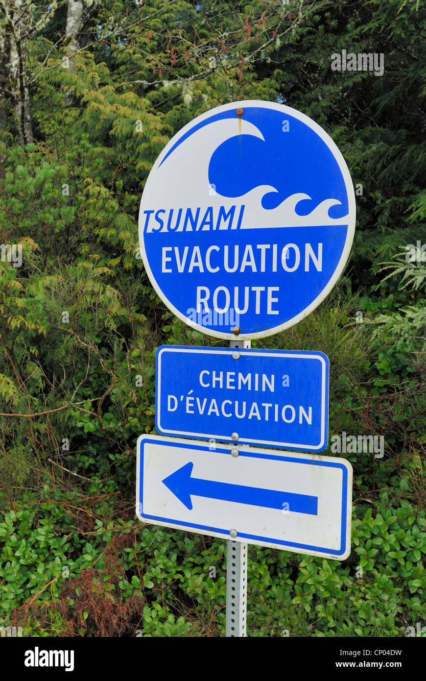 Tsunami in bc