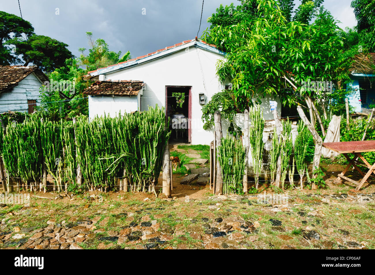 Typical house in the cuban countryside Stock Photo