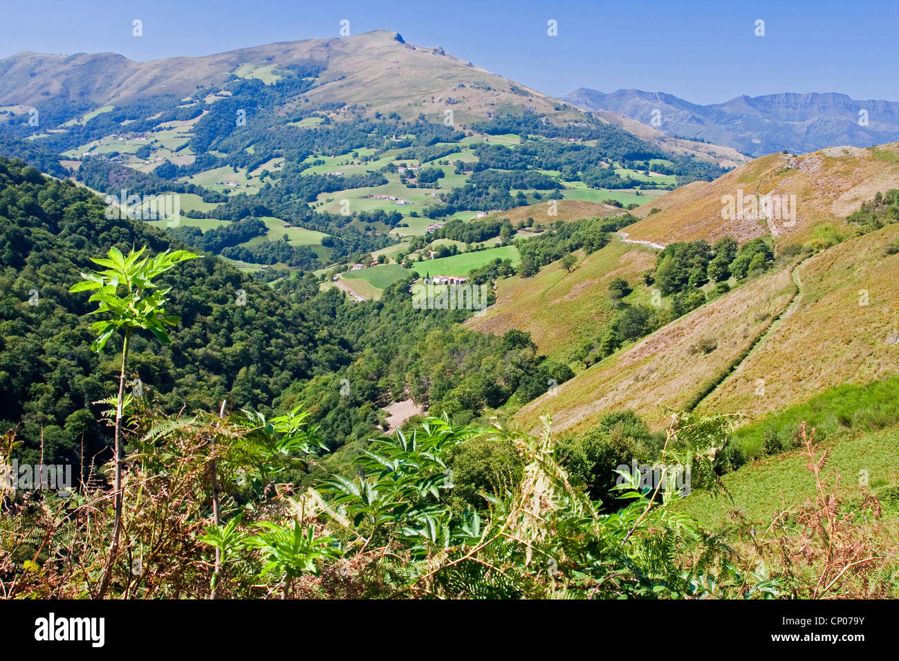 Pyrenees landscape at the way from St. Jean Pied de Port to Roncesvalles,  France, Pyr�nn�es-Atlantiques, Basque country, Basse Navarre Stock Photo -  Alamy