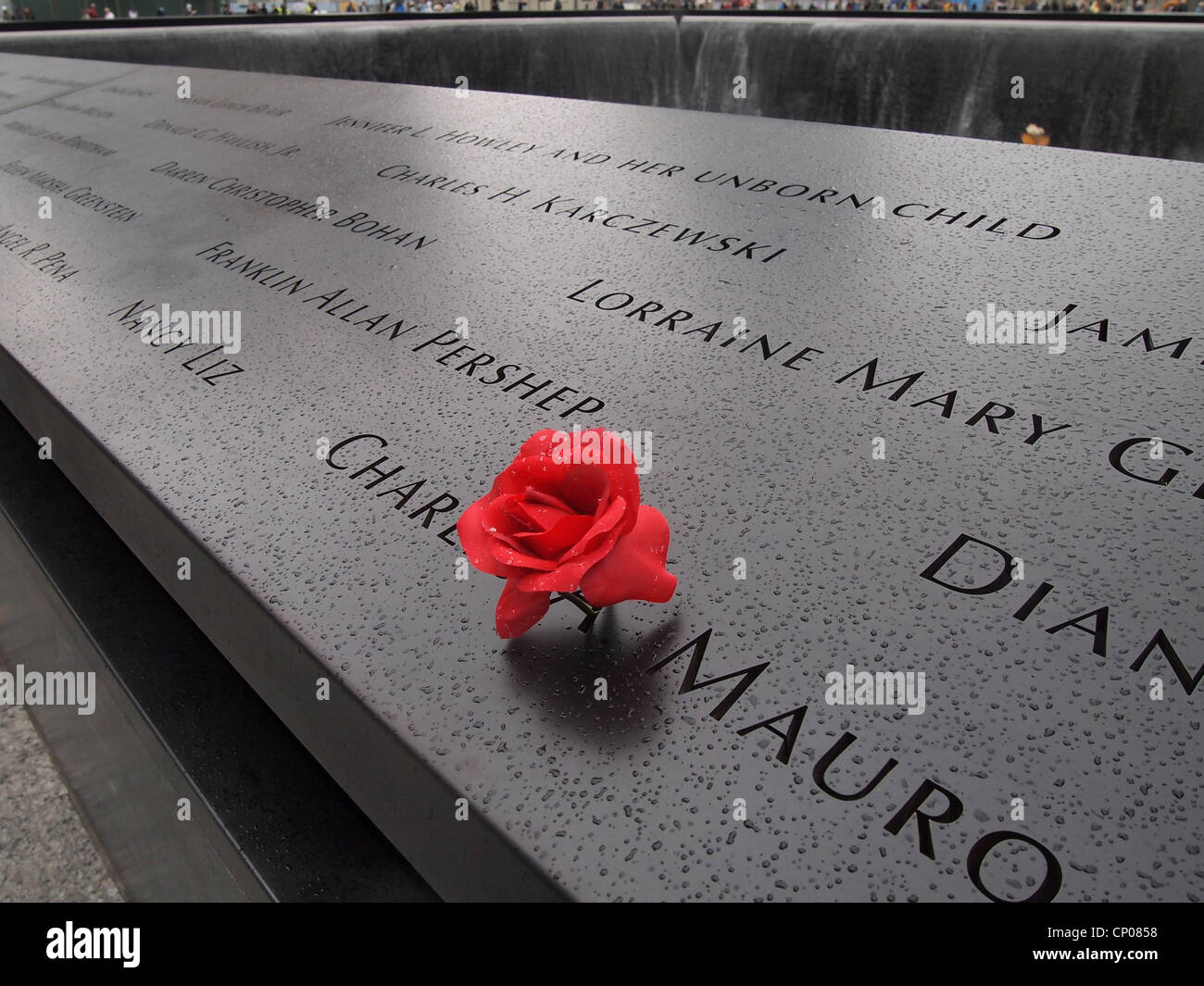 A single red rose placed at the name of a victim at the 9/11 Memorial in New York City, October 12, 2011, © Katharine Andriotis Stock Photo