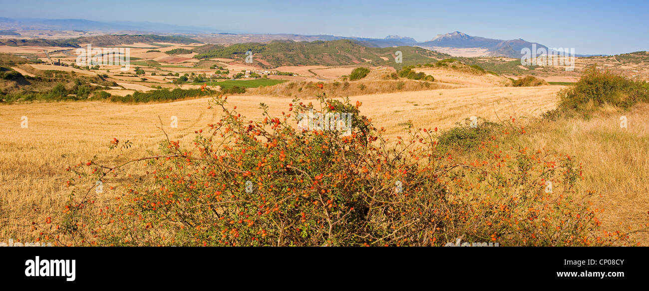 landscape at Camino de Santiago near Estel, Spain, Basque country, Navarra Stock Photo