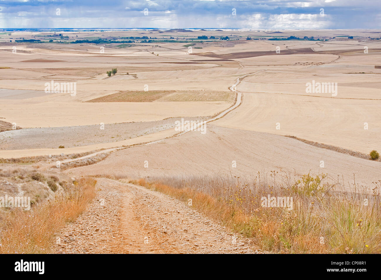 landscape of Meseta between Castrojeriz and San Nicols de Puente Fitero , Spain, Kastilien &amp; Leon, Burgos Stock Photo