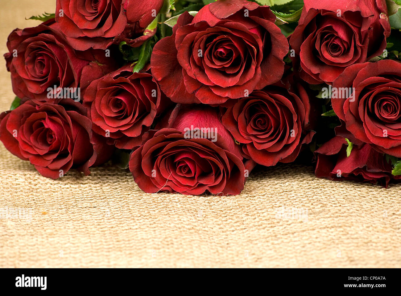 Small Size Red Color Fabric Roses Bunch 2 Of 12 PCS. main image 1