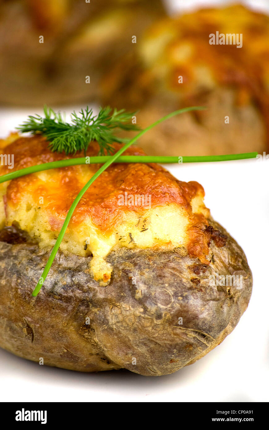 stuffed potatoes covered with cheddar cheese decorated with chives and dill leaves in a white plate Stock Photo