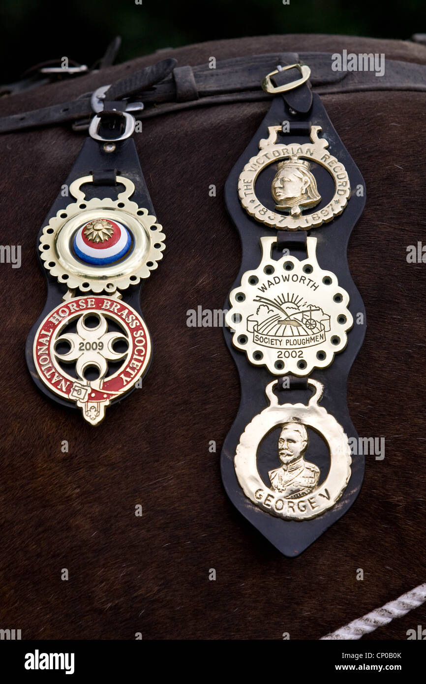 Horses brasses on a Shire Horses tail Stock Photo