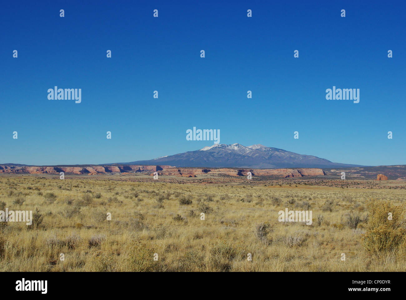 High desert and Manti La Sal mountains, Utah Stock Photo Alamy