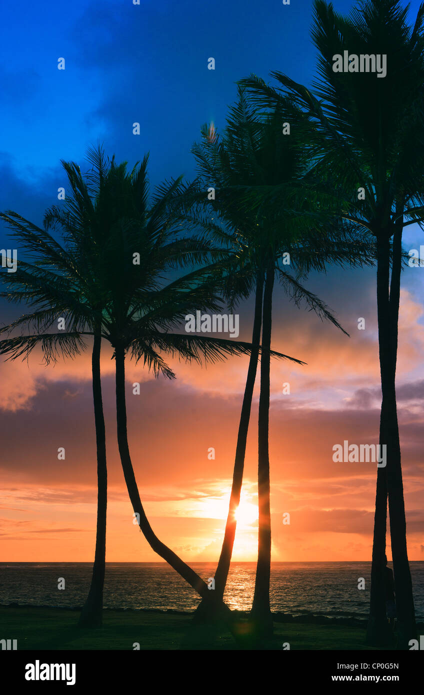 Sunrise at Kapaa Beach Park with Palm trees east coast Kauai, Hawaii