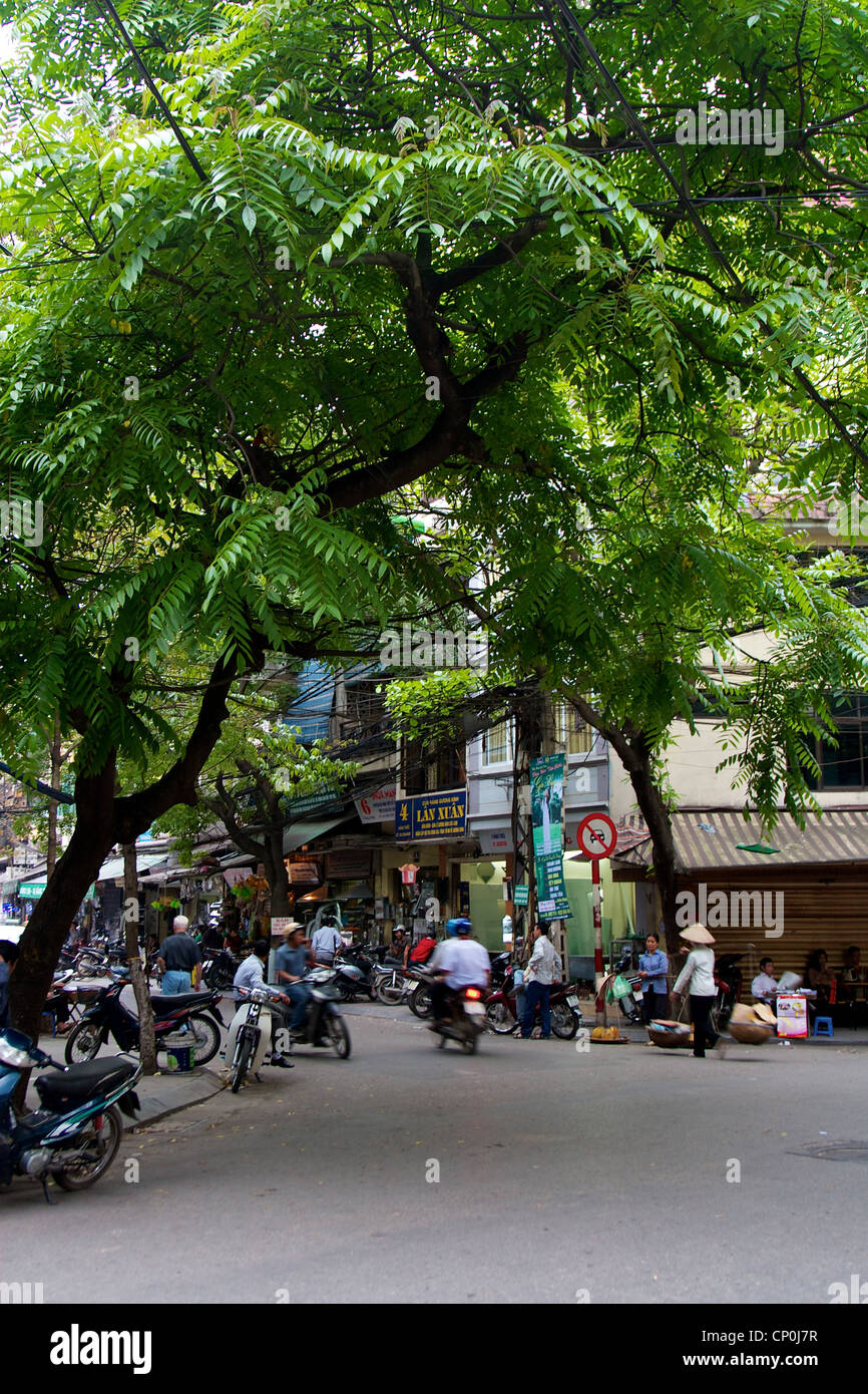 A typical tree canopy and street scene in hanoi hires stock photography and images Alamy
