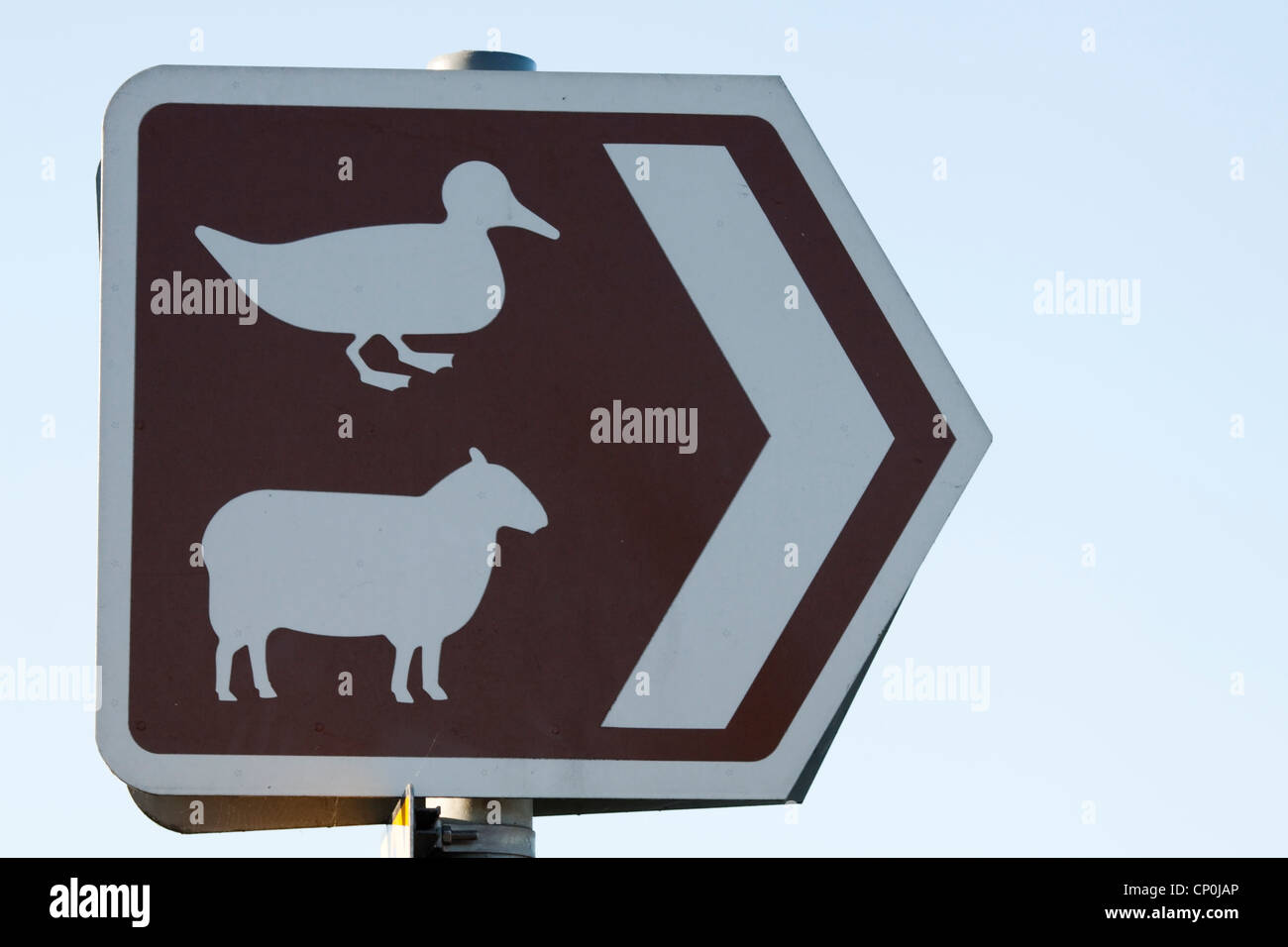 Directional Sign depicting a sheep and a duck Stock Photo
