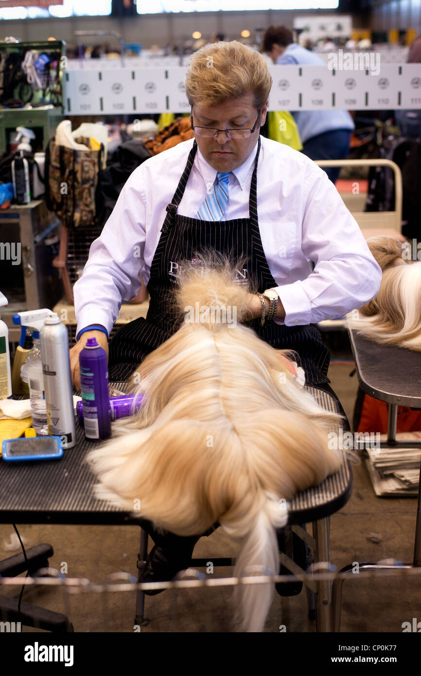 American kennel club hires stock photography and images Alamy