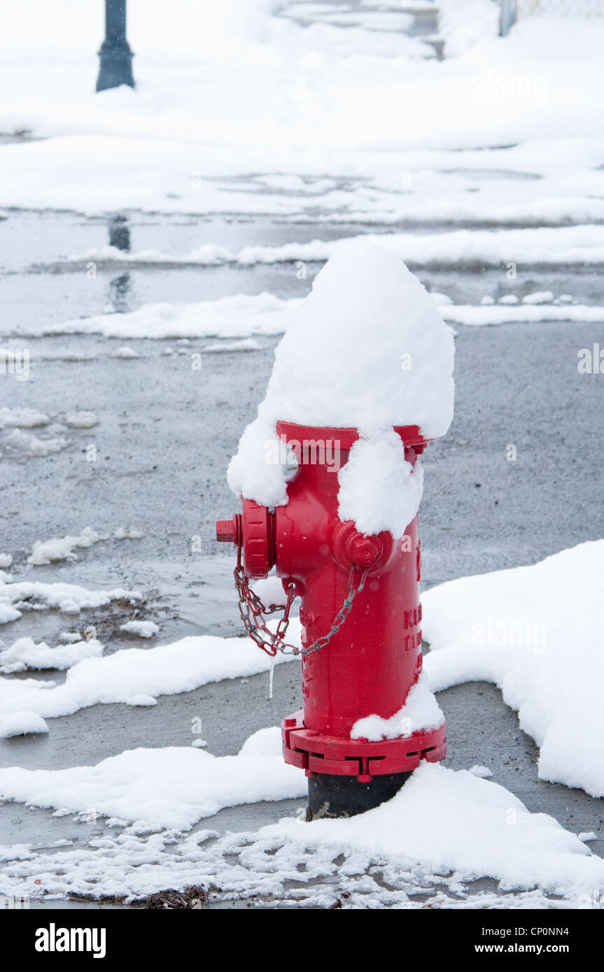 Red fire hydrant covered by wet winter snow, Livingston, Montana, USA Stock Photo