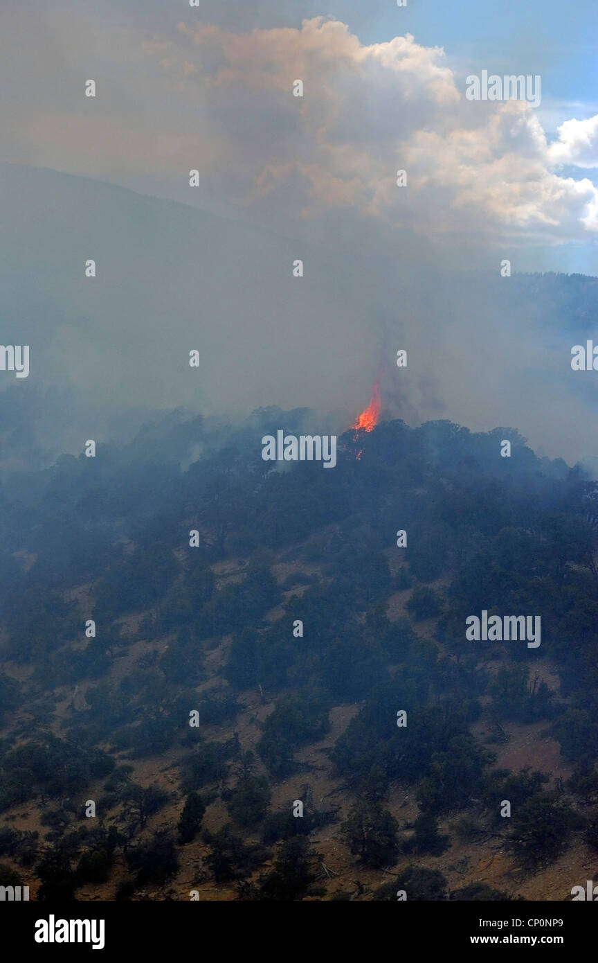 A burst of flame atop a ridge during a forest fire. Stock Photo