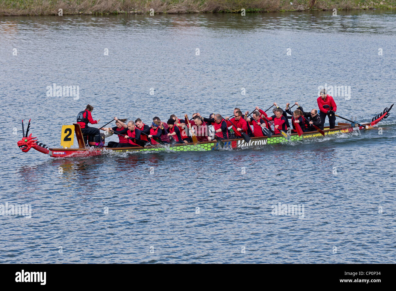 BDA National League dragon boats race at Caldecotte lake Milton Keynes Stock Photo