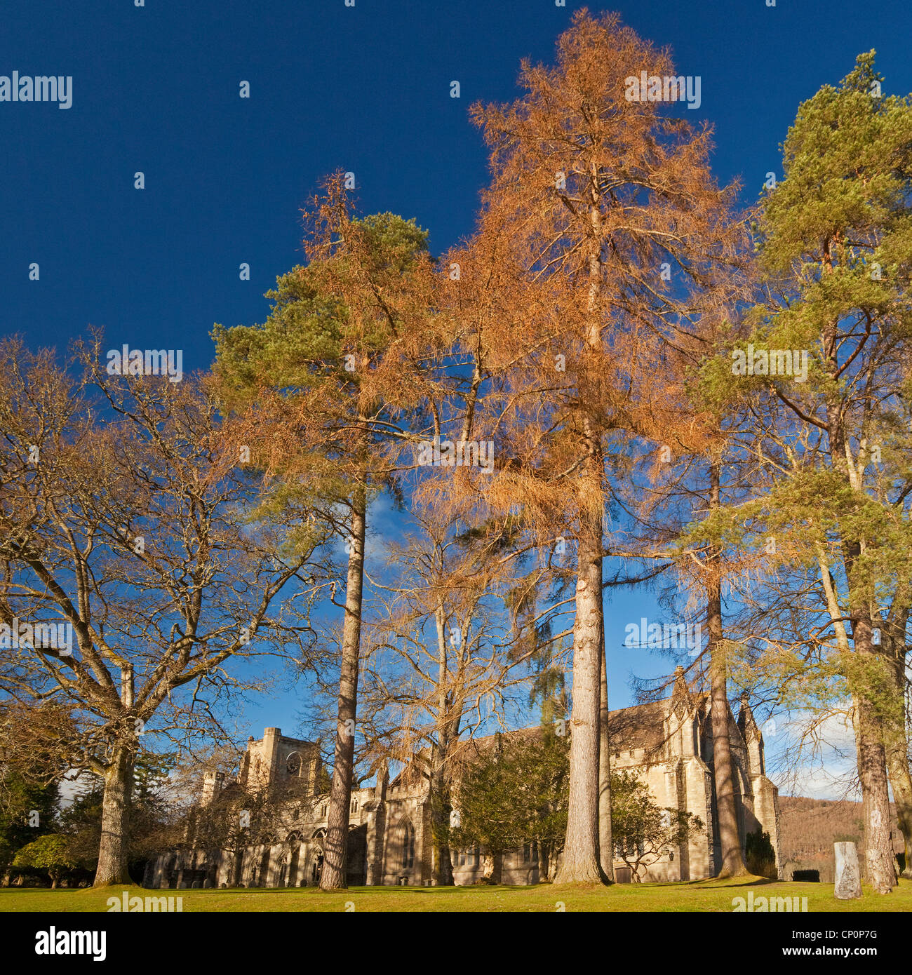 Dunkeld Cathedral Stock Photo Alamy