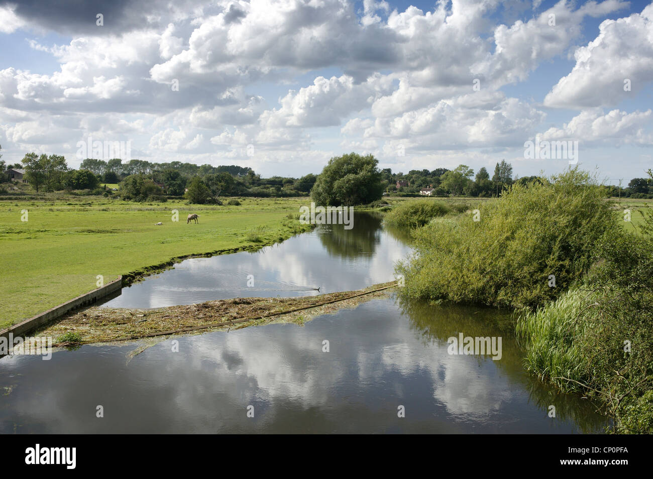 Promotional image scene from hi-res stock photography and images - Alamy