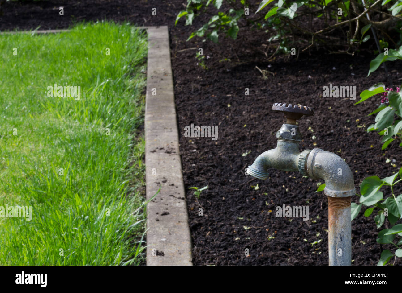 Garden spigot hires stock photography and images Alamy