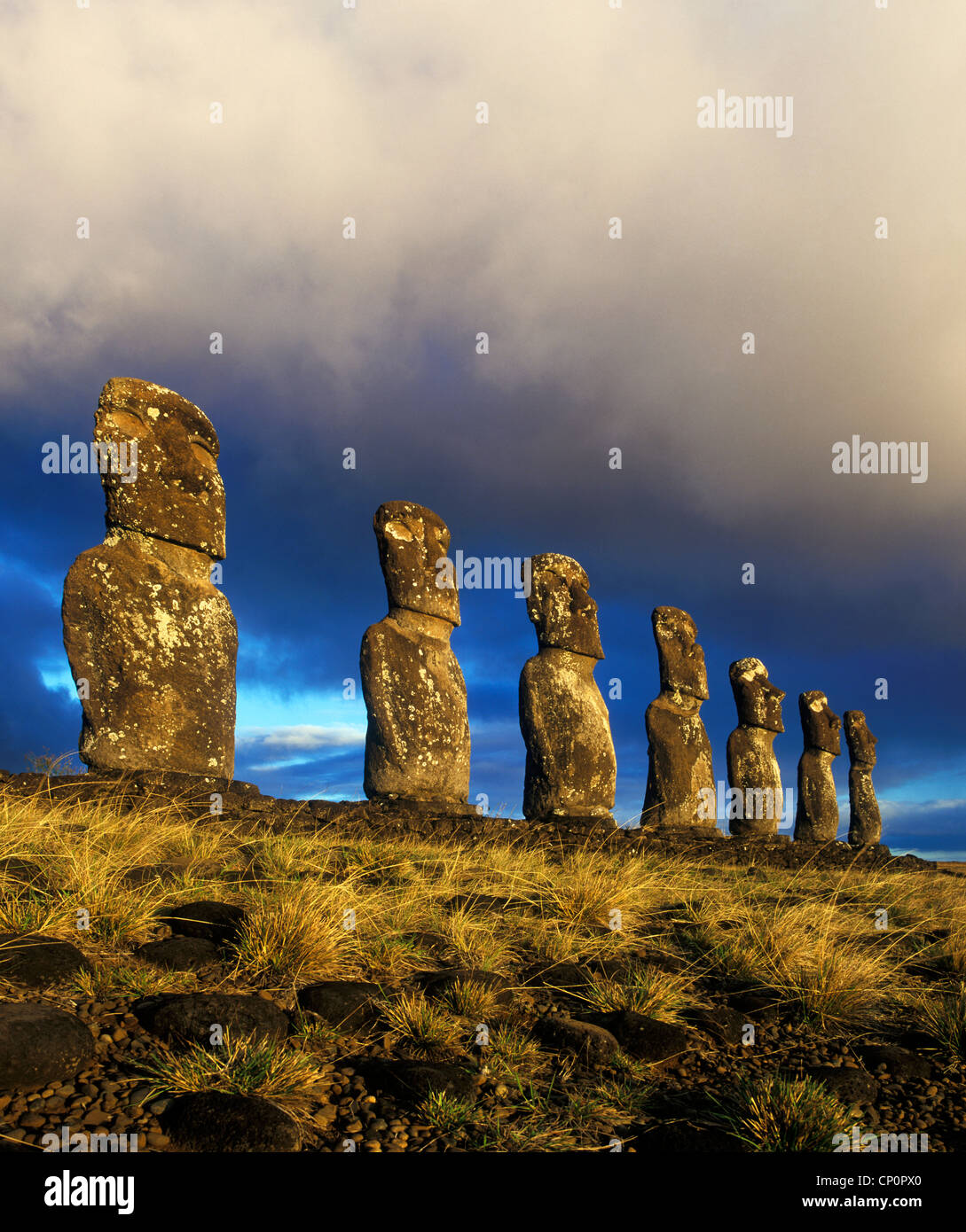 Easter Island, Statues of Ahu Akivi, the Seven Moai Stock Photo Alamy