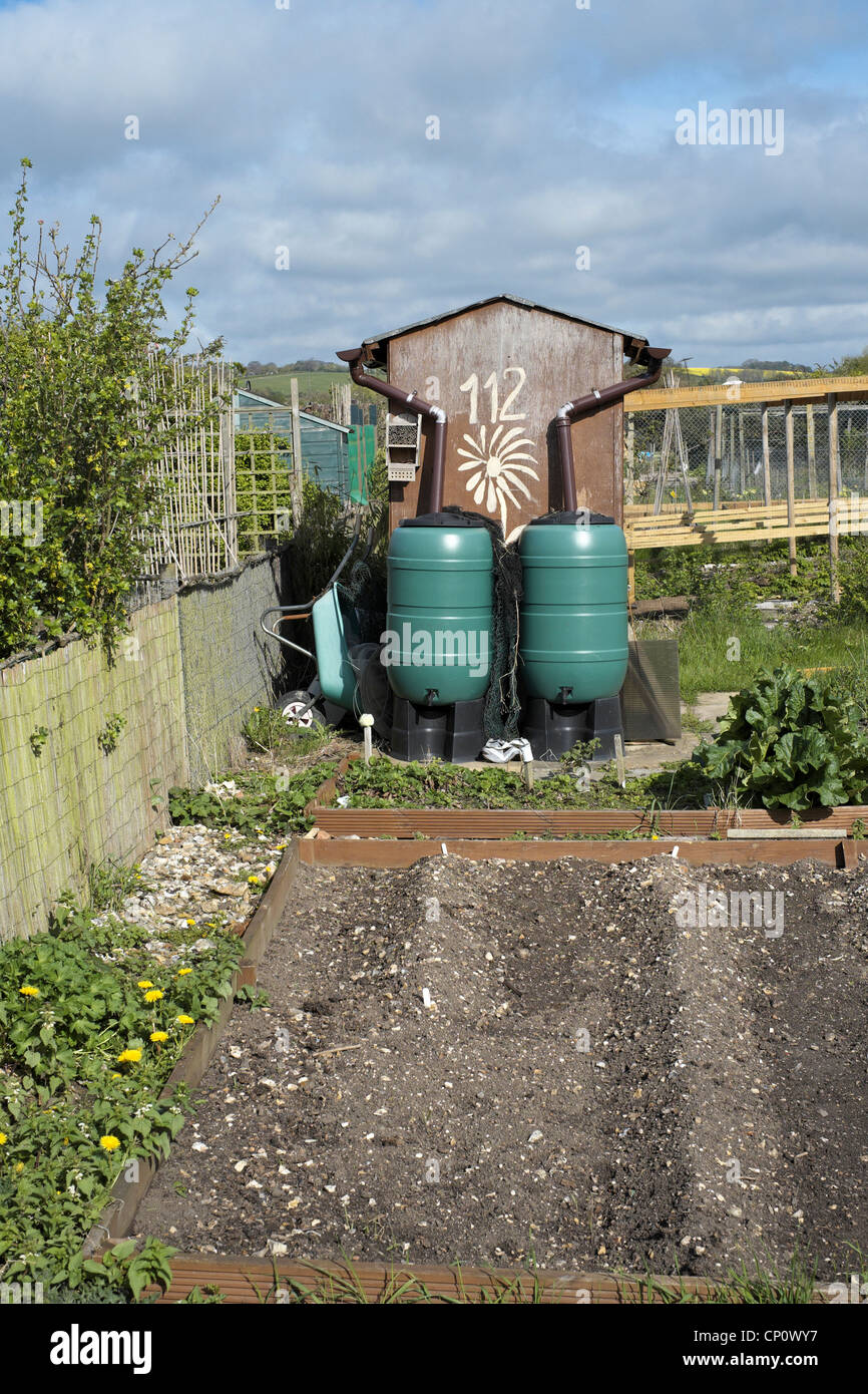 Water butts and garden shed on a UK allotment plot Stock Photo
