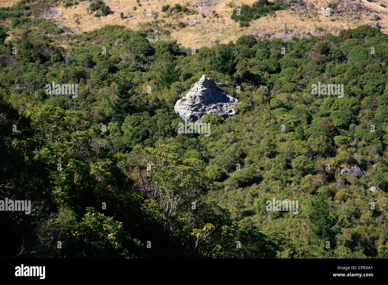 Takaka hill new zealand hires stock photography and images Alamy