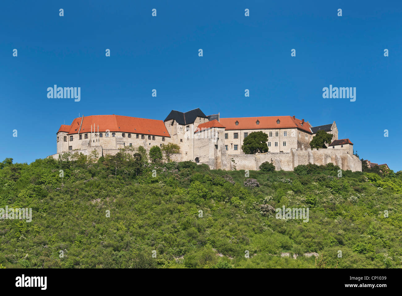 Neuenburg Castle, Freyburg (Unstrut), Saxony-Anhalt, Germany, Europe Stock Photo