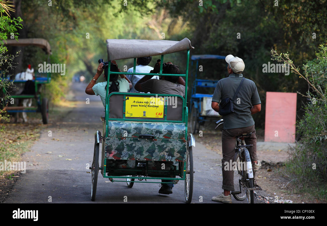 Visitors riding cycle rickshaw in Bharatpur Bird Sanctuary Stock Photo