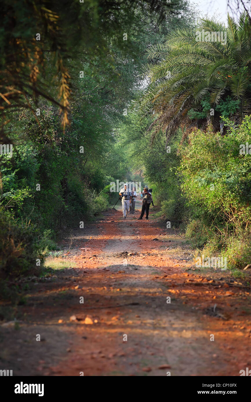 Bhartpur Bird Sanctuary Stock Photo