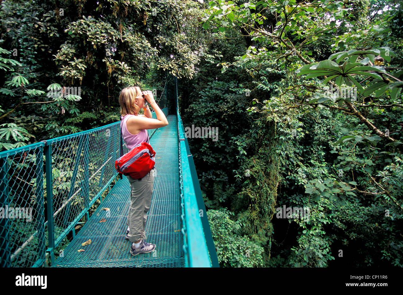 birdwatching in Monteverde, costa rica Stock Photo Alamy