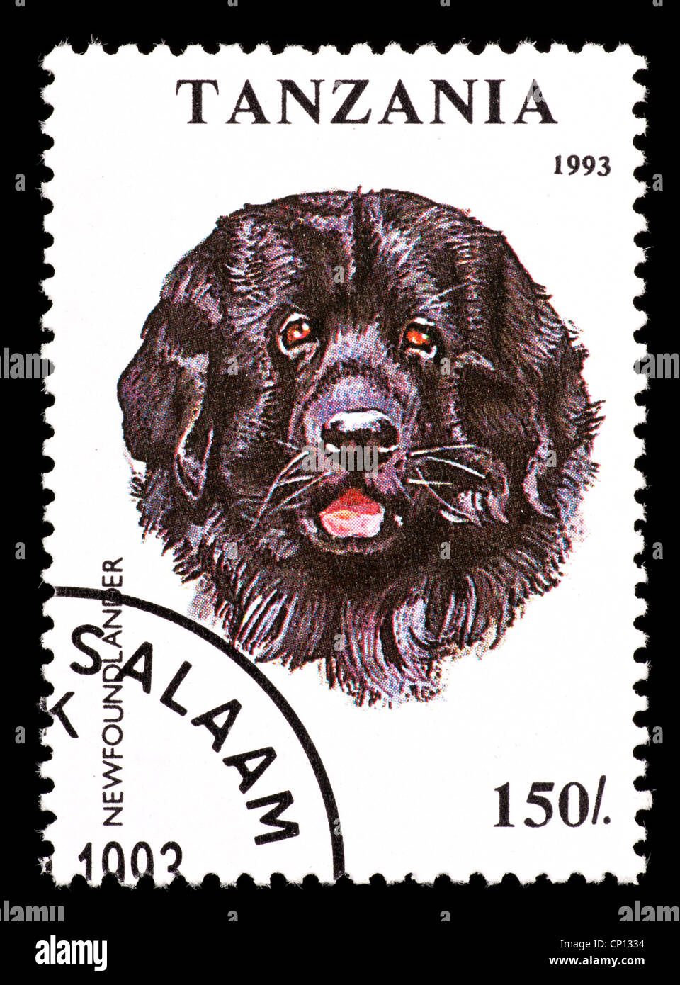 Postage stamp from Tanzania depicting a Newfoundlander dog Stock Photo