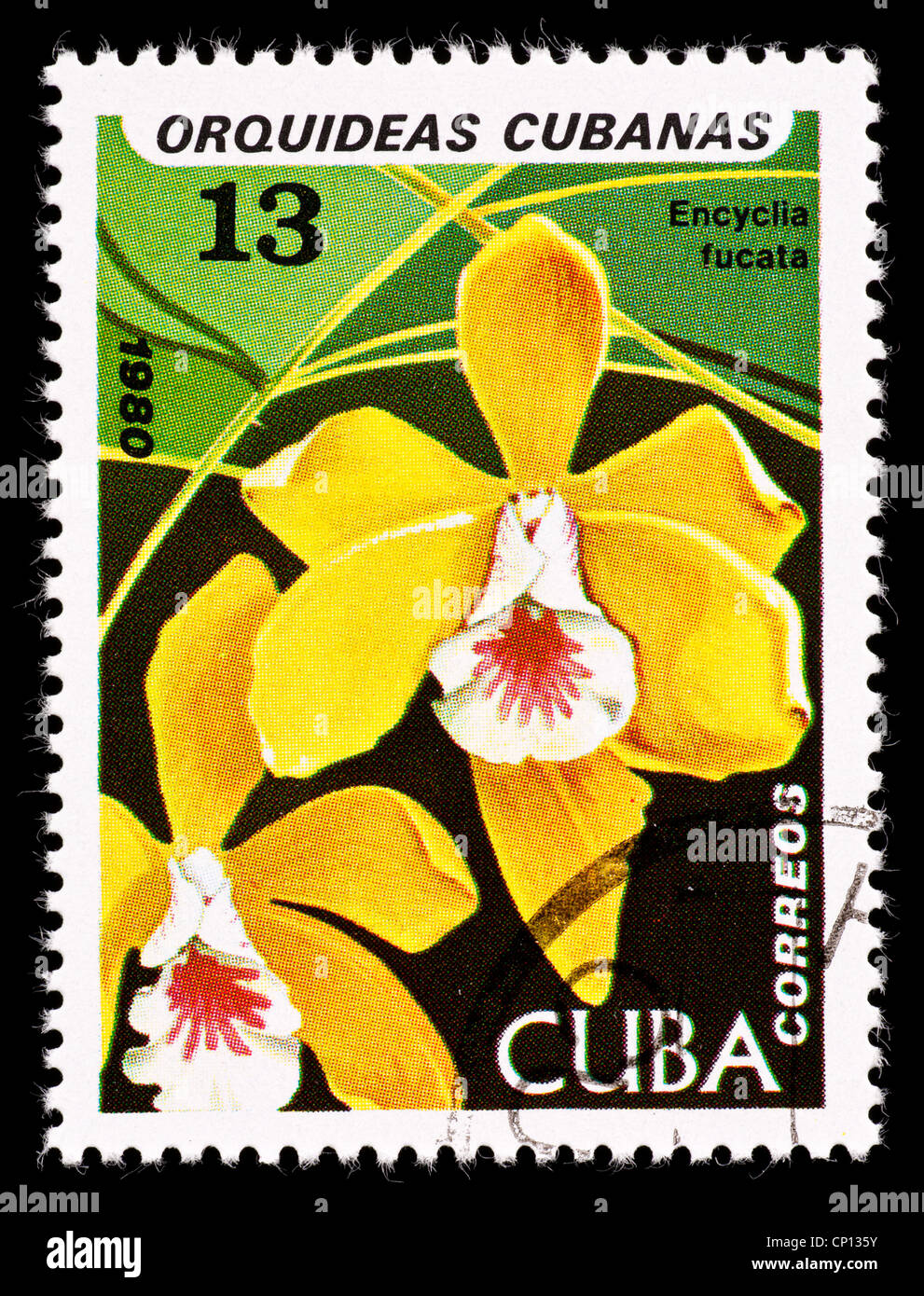 Postage stamp from Cuba depicting a native Brown Veined Encyclia orchid (Encyclia fucata) Stock Photo
