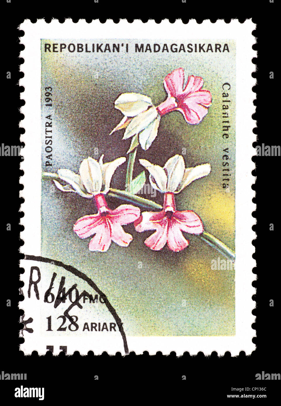 Postage stamp from Madagascar depicting a tropical orchid (Calanthe vestita) Stock Photo
