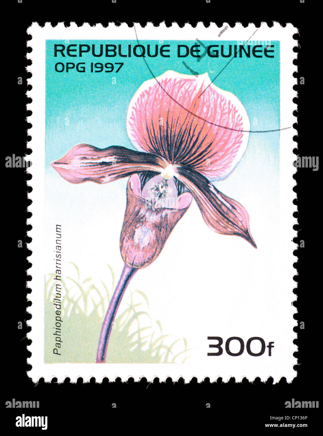 Postage stamp from Guinea depicting an exotic orchid (Paphiopedilum harrisianum) Stock Photo