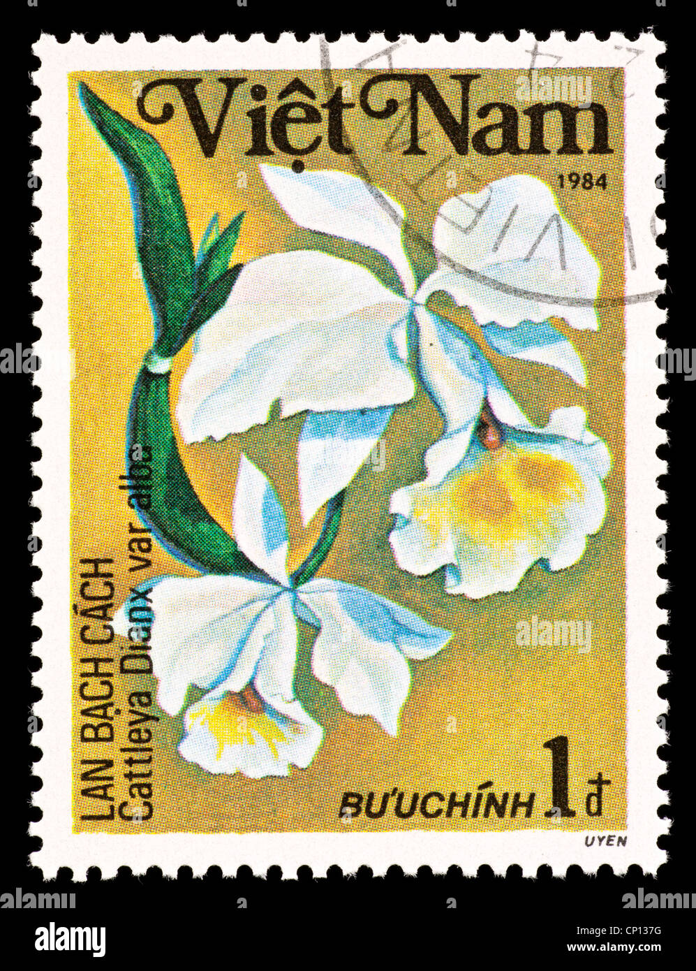 Postage stamp from Vietnam depicting a tropical orchid (Cattleya diaox ...