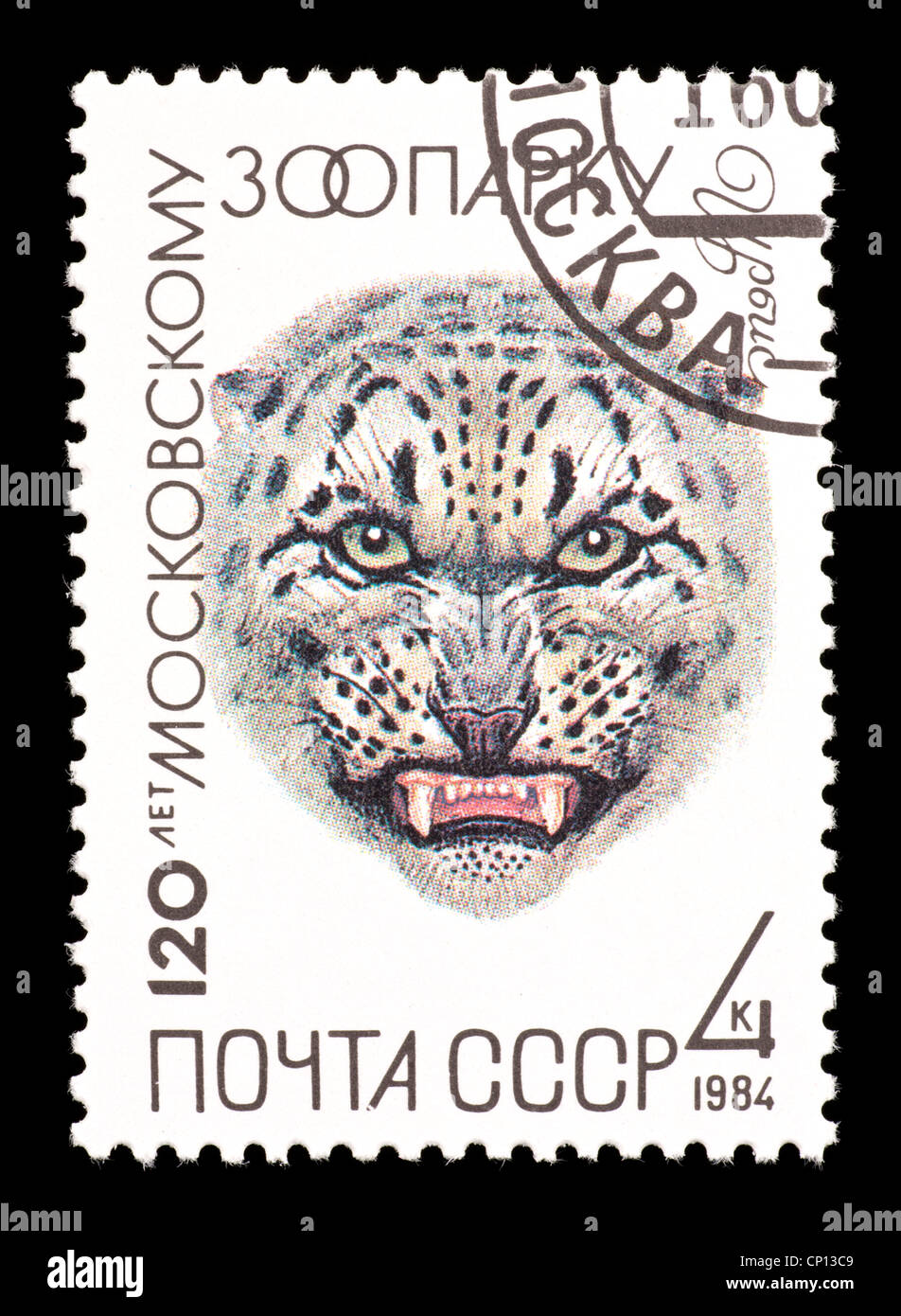 Postage stamp from the Soviet Union depicting a snow leopard (Panthera