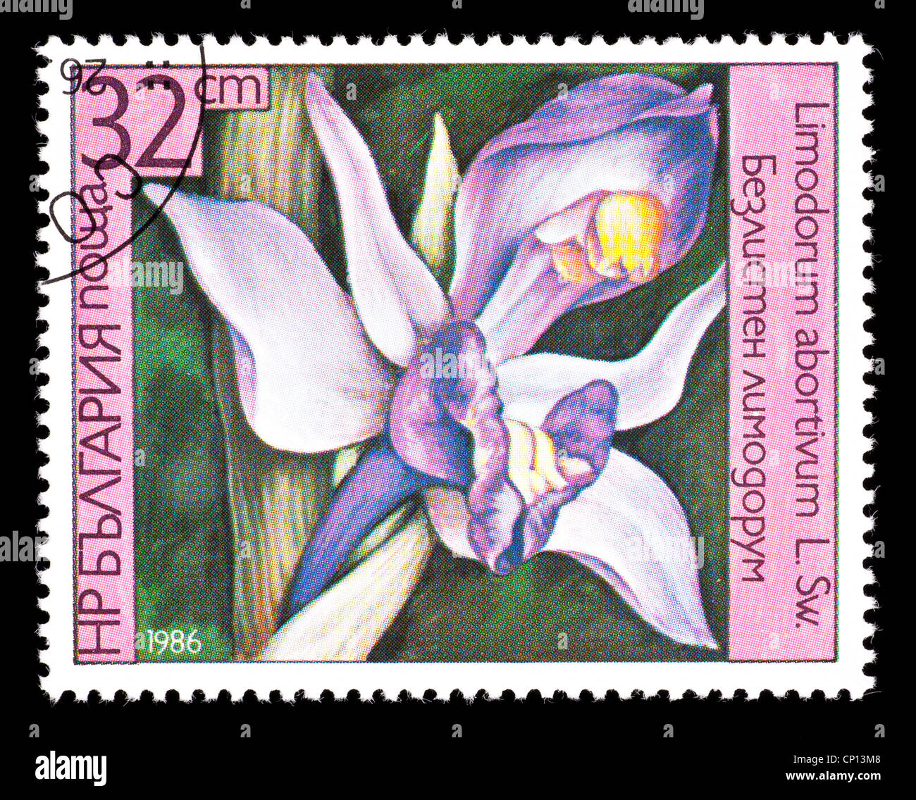 Postage stamp from Bulgaria depicting an orchid (Limodorum abortivum ...