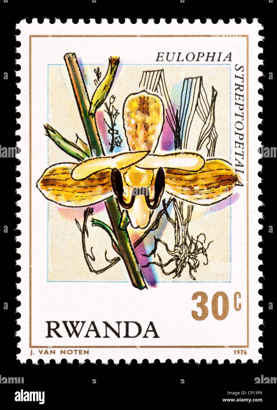 Postage stamp from Rwanda depicting a tropical orchid (Eulophia streptopetai) Stock Photo