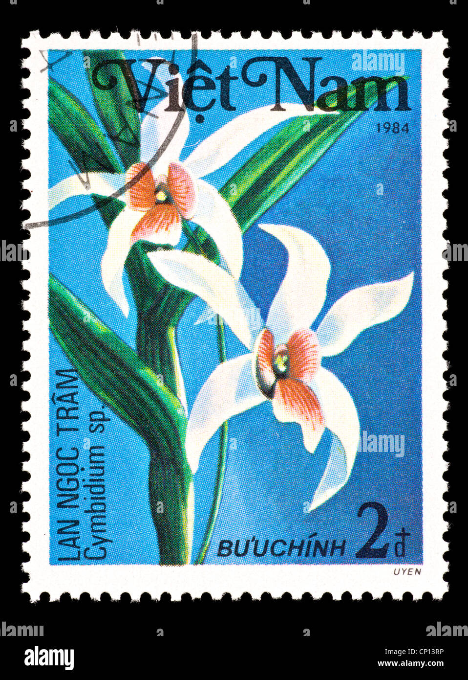 Postage stamp from Vietnam depicting a Cymbidium orchid Stock Photo - Alamy