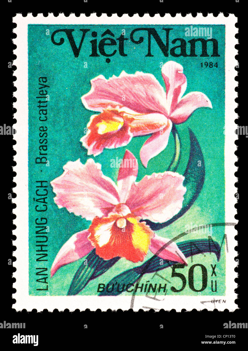 Postage stamp from Vietnam depicting an orchid hybrid (Brassia x Cattleya) Stock Photo