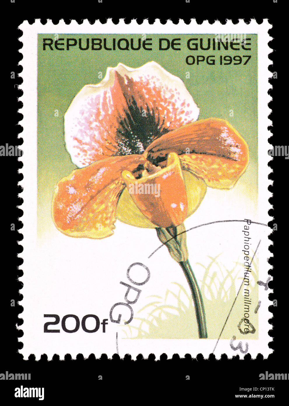 Postage stamp from Guinea depicting a tropical orchid (Paphiopedilum ...