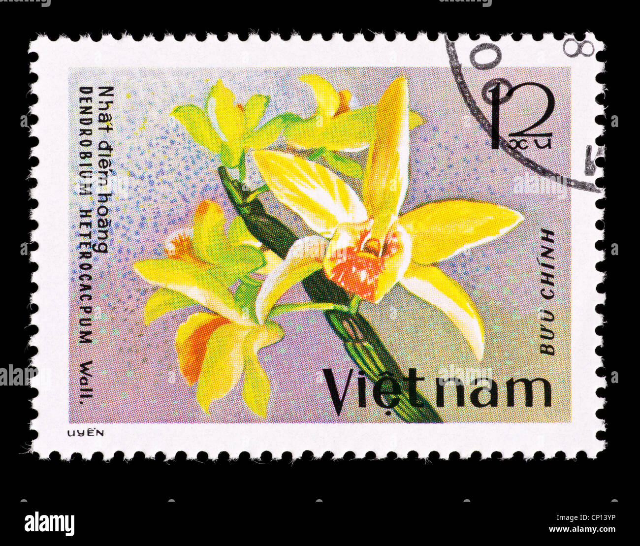 Postage stamp from Vietnam depicting an exotic orchid (Dendrobium ...