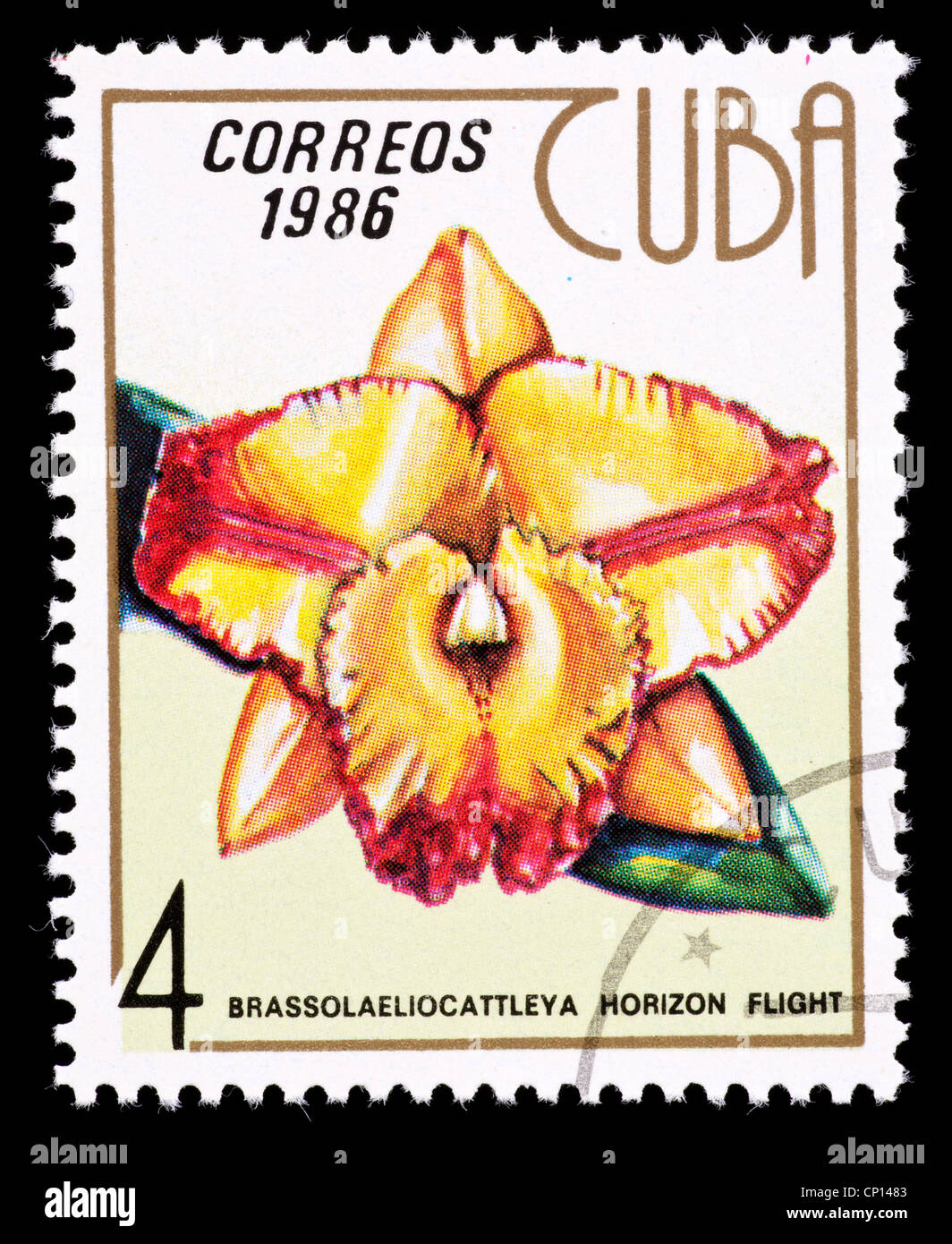Postage stamp from Cuba depicting an orchid hybrid, Brassolaelio x Cattleya Stock Photo