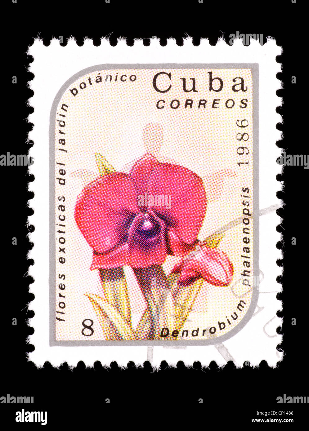 Postage stamp fro Cuba depicting a Cooktown Orchid (Vappodes phalaenopsis, formerly Dendrobium phalaenopsis) Stock Photo