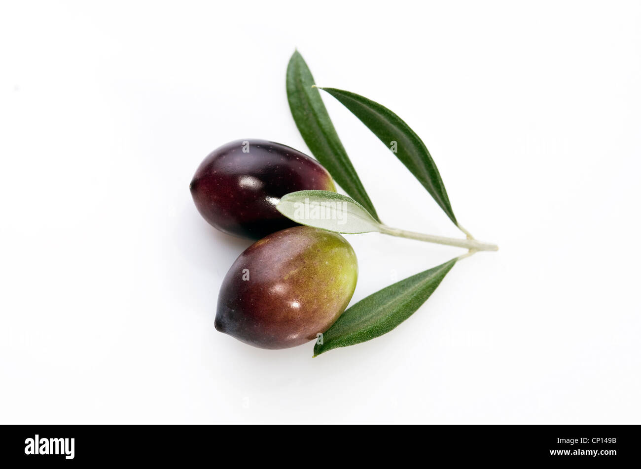 Cocina Italiana Cut Out Stock Images Pictures Alamy