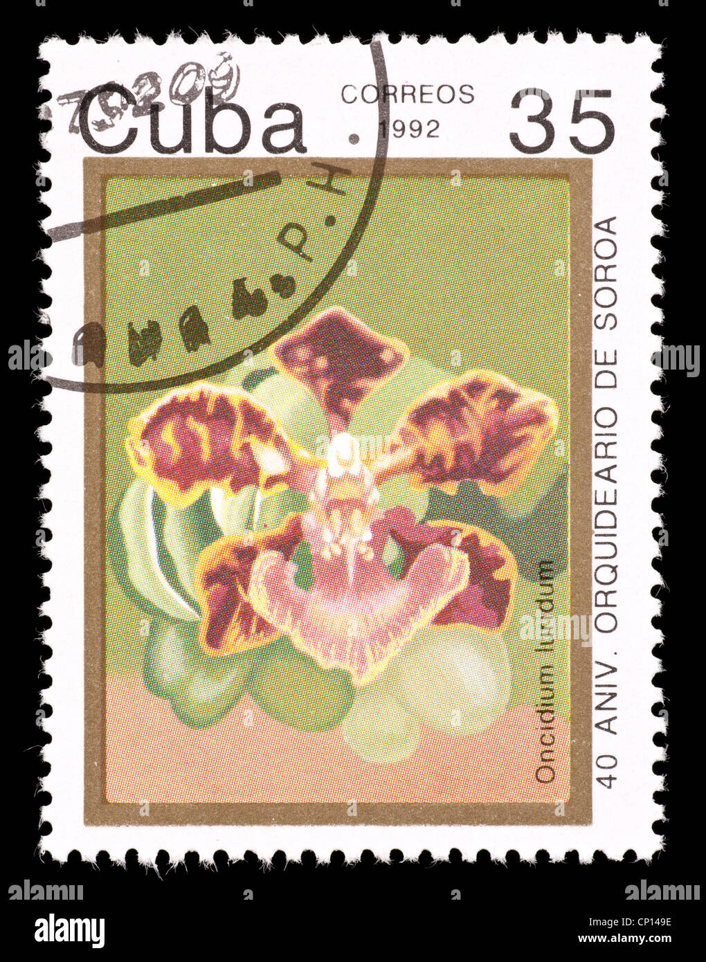Postage stamp from Cuba depicting a tropical flower (Oncidium luridum) Stock Photo