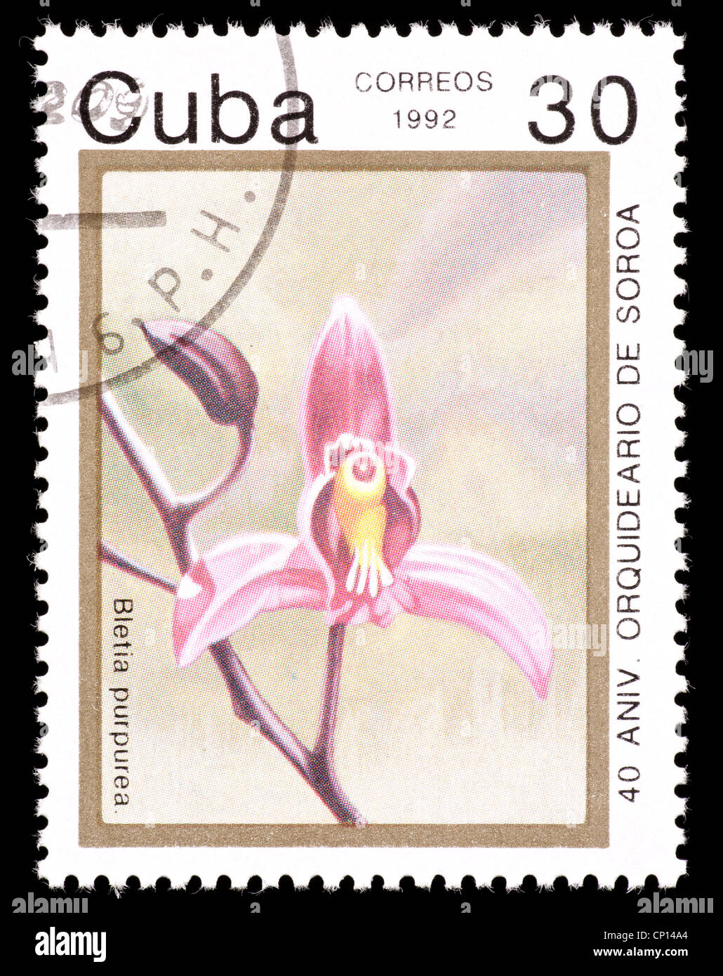 Postage stamp from Cuba depicting a tropical orchid (Bletia purpurea) Stock Photo