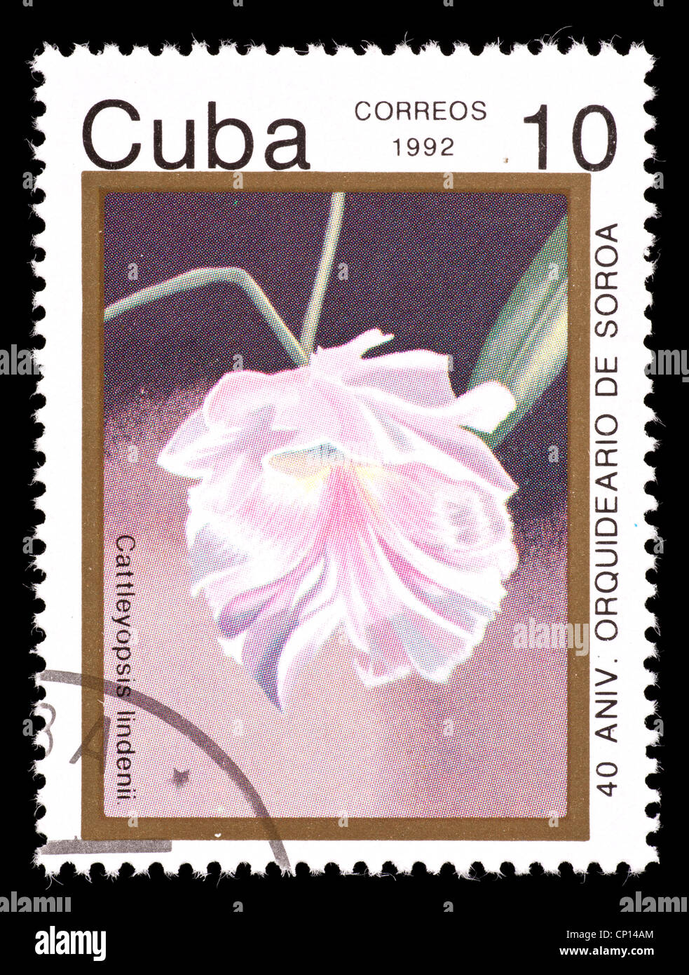 Postage stamp from Cuba depicting a tropical orchid (Cattleyopsis lindenii) Stock Photo