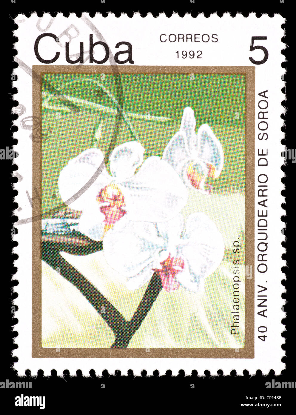 Postage stamp from Cuba depicting a white Phalaenopsis orchid Stock ...
