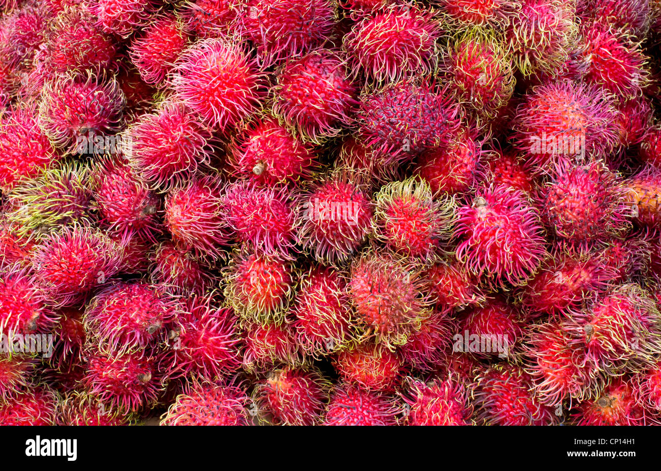 Rambutan, a Southeast Asian sweet fruit in a Chinatown produce market in New York City Stock Photo