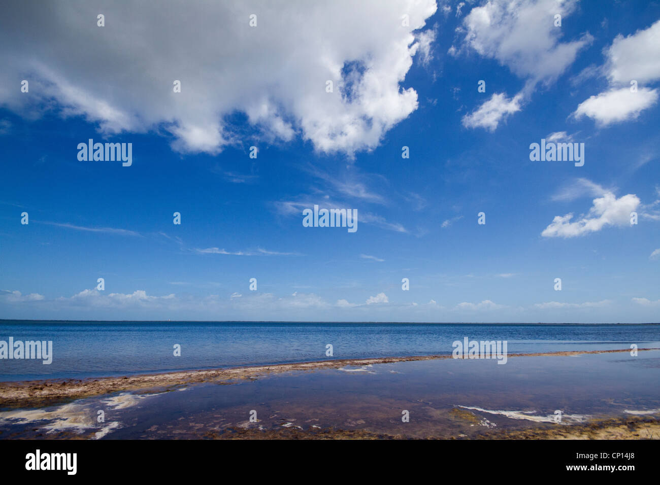 Merritt Island National Wildlife Refuge (MINWR Stock Photo Alamy
