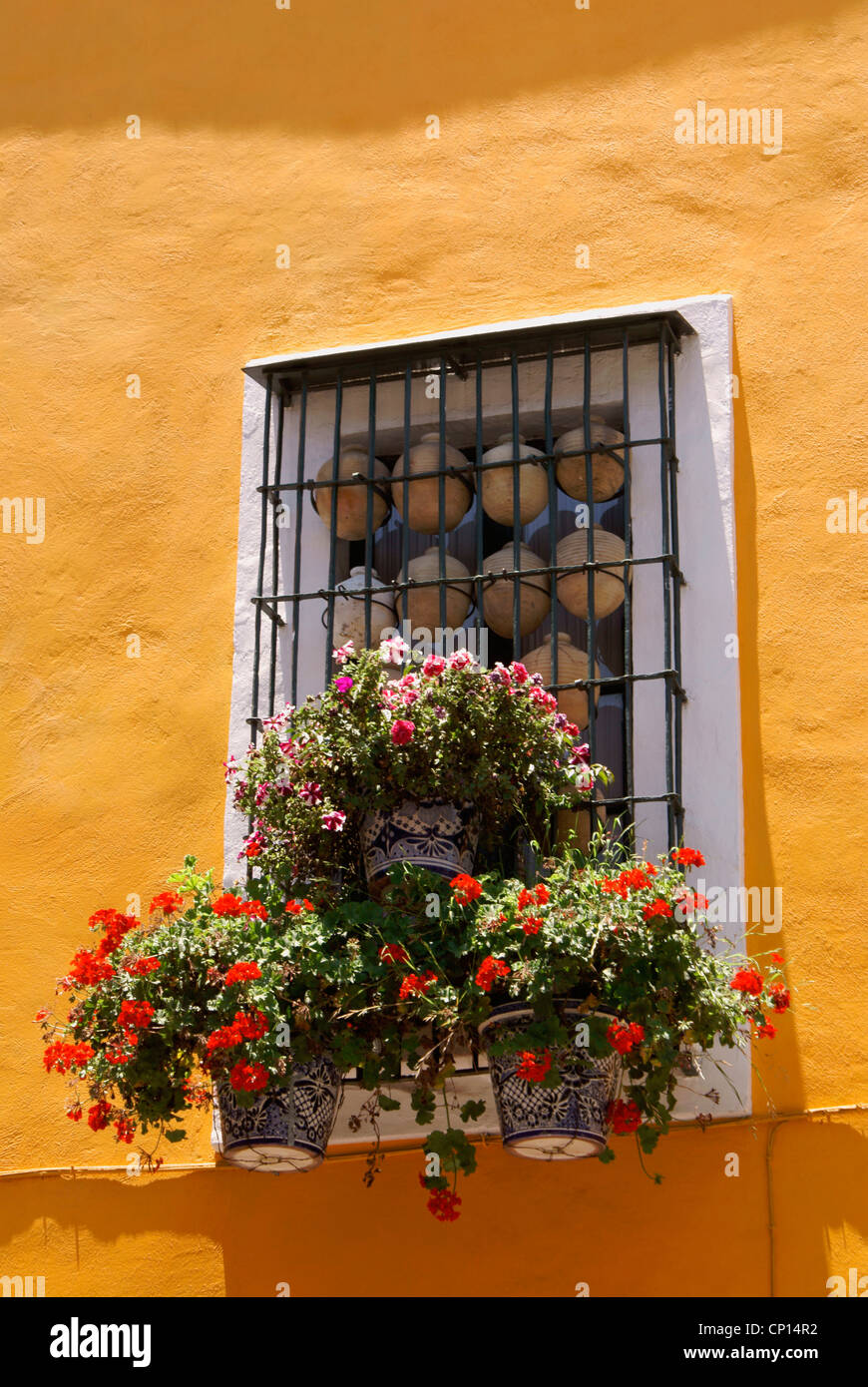 Colorful flowers decorating the window of a house in the city of Puebla, Mexico. The historical center of Puebla is a UNESCO World Heritage Site. Stock Photo