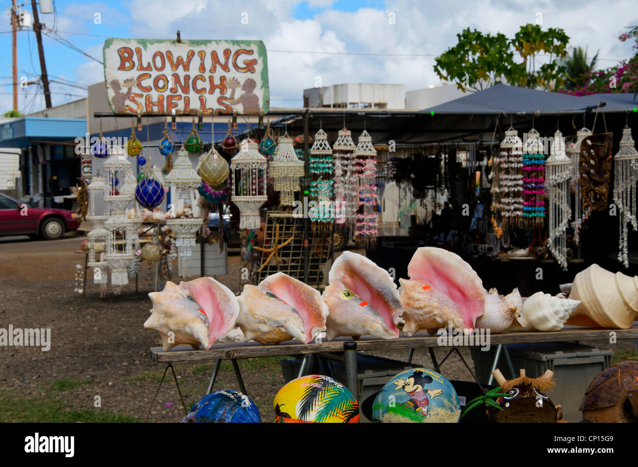 Blowing Conch Shells for sale at roadside stand at Haleiwa, Hawaii on Oahu Island Stock Photo